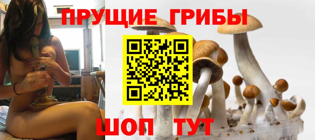 Тюмень  Псилоцибиновые грибы ЛСД  Вход с VPN  Галлюциногенные грибы Psilocybe 
