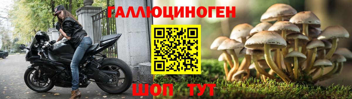 Псилоцибиновые грибы Magic Shrooms Тюмень